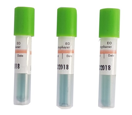 اندیکاتور بیولوژیکال اتلین اوکساید